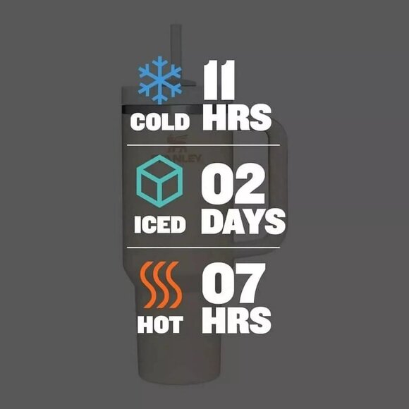 Stanley X Wicked Elphaba For Good 40 oz Tumbler Target Exclusive NEW IN HAND - Picture 6 of 6